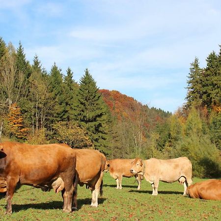 Urlaub Mitten Im Wald - Lueg Scheibbs Exterior photo
