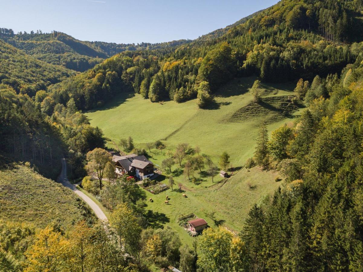 Urlaub Mitten Im Wald - Lueg Scheibbs Exterior photo