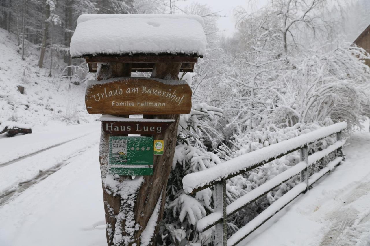 Urlaub Mitten Im Wald - Lueg Scheibbs Exterior photo